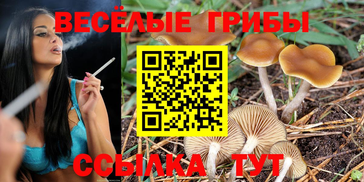 Псилоцибиновые грибы Cubensis Елизово