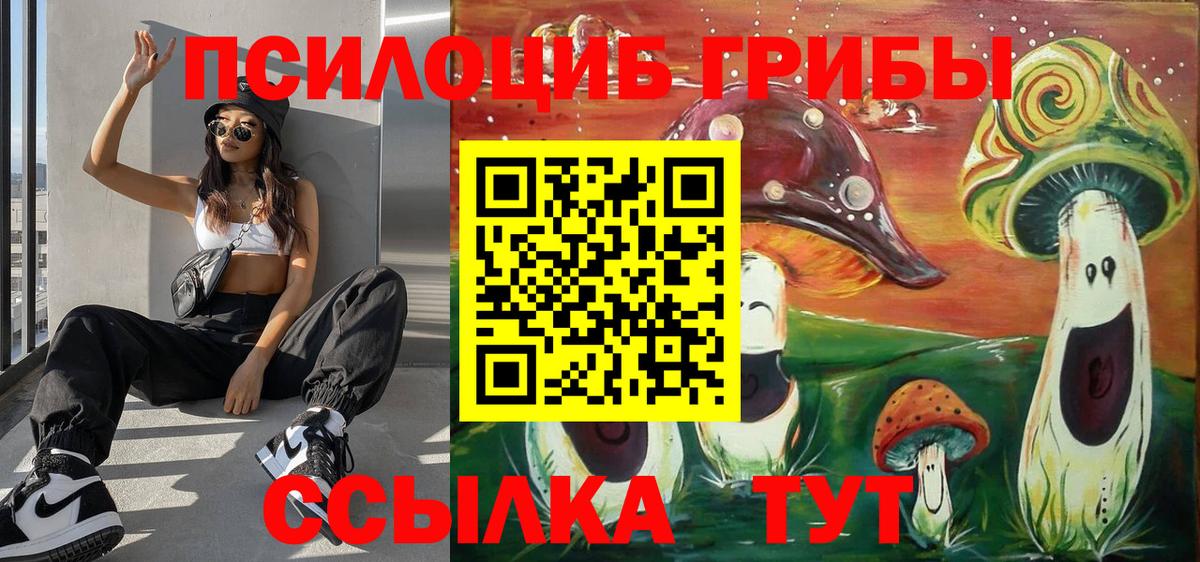Псилоцибиновые грибы MAGIC MUSHROOMS  Вход с VPN  Елизово 